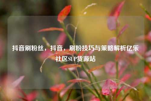 抖音刷粉丝	，抖音，刷粉技巧与策略解析亿乐社区SUP货源站  第1张