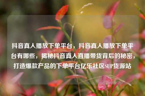 抖音真人播放下单平台，抖音真人播放下单平台有哪些	，揭秘抖音真人直播带货背后的秘密，打造爆款产品的下单平台亿乐社区SUP货源站  第1张