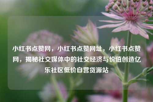 小红书点赞网	，小红书点赞网址，小红书点赞网，揭秘社交媒体中的社交经济与价值创造亿乐社区低价自营货源站  第1张