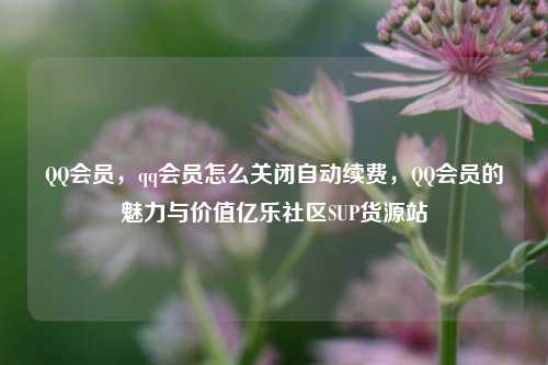 QQ会员，qq会员怎么关闭自动续费，QQ会员的魅力与价值亿乐社区SUP货源站  第1张