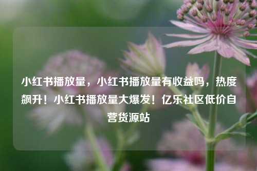 小红书播放量，小红书播放量有收益吗，热度飙升！小红书播放量大爆发！亿乐社区低价自营货源站  第1张