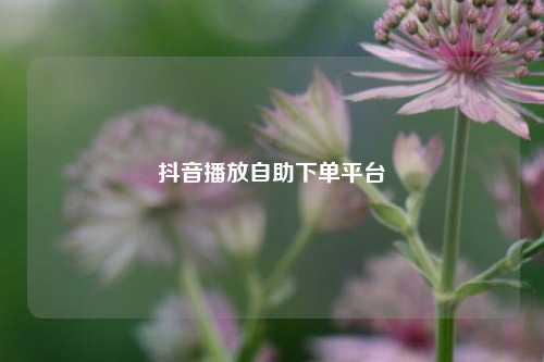抖音播放自助下单平台  第1张
