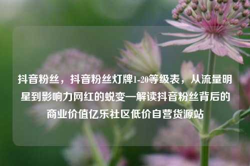 抖音粉丝，抖音粉丝灯牌1-20等级表，从流量明星到影响力网红的蜕变—解读抖音粉丝背后的商业价值亿乐社区低价自营货源站  第1张