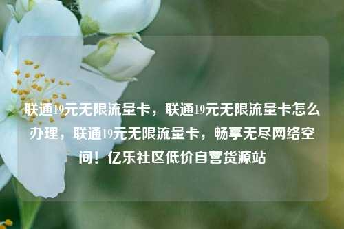 联通19元无限流量卡，联通19元无限流量卡怎么办理	，联通19元无限流量卡，畅享无尽网络空间！亿乐社区低价自营货源站  第1张