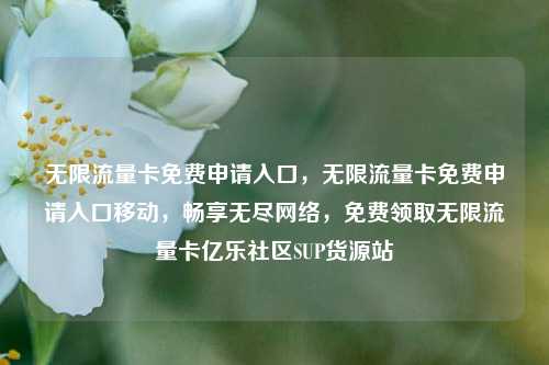 无限流量卡免费申请入口，无限流量卡免费申请入口移动，畅享无尽网络，免费领取无限流量卡亿乐社区SUP货源站  第1张