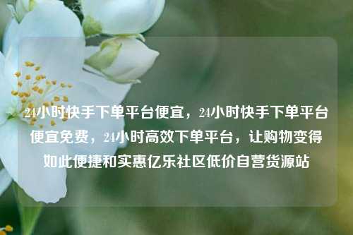 24小时快手下单平台便宜，24小时快手下单平台便宜免费，24小时高效下单平台，让购物变得如此便捷和实惠亿乐社区低价自营货源站  第1张
