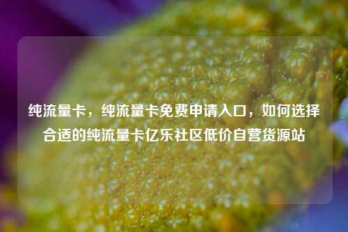 纯流量卡，纯流量卡免费申请入口，如何选择合适的纯流量卡亿乐社区低价自营货源站  第1张