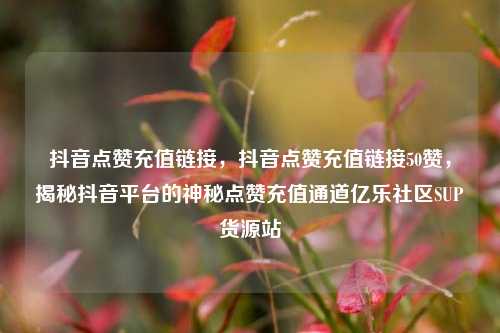 抖音点赞充值链接，抖音点赞充值链接50赞，揭秘抖音平台的神秘点赞充值通道亿乐社区SUP货源站  第1张