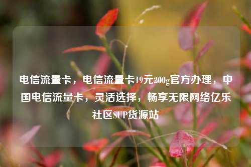 电信流量卡，电信流量卡19元200g官方办理，中国电信流量卡	，灵活选择，畅享无限网络亿乐社区SUP货源站  第1张