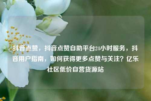 抖音点赞，抖音点赞自助平台24小时服务	，抖音用户指南，如何获得更多点赞与关注？亿乐社区低价自营货源站  第1张