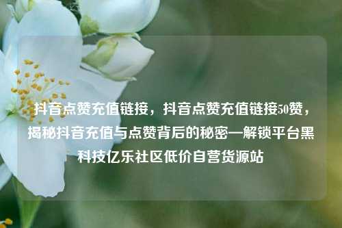 抖音点赞充值链接	，抖音点赞充值链接50赞，揭秘抖音充值与点赞背后的秘密—解锁平台黑科技亿乐社区低价自营货源站  第1张