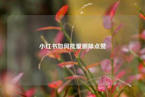 小红书如何批量删除点赞  第1张