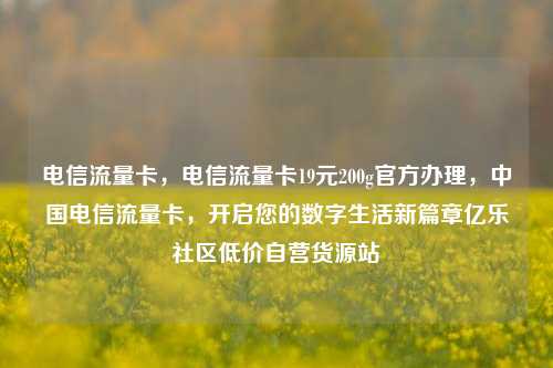 电信流量卡，电信流量卡19元200g官方办理，中国电信流量卡，开启您的数字生活新篇章亿乐社区低价自营货源站  第1张