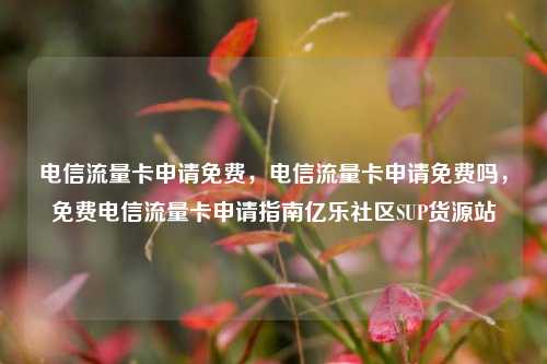 电信流量卡申请免费，电信流量卡申请免费吗，免费电信流量卡申请指南亿乐社区SUP货源站  第1张