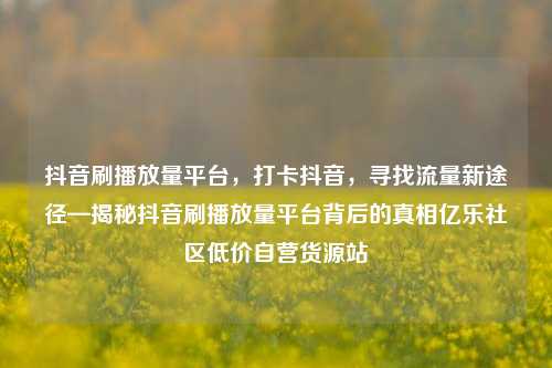 抖音刷播放量平台，打卡抖音，寻找流量新途径—揭秘抖音刷播放量平台背后的真相亿乐社区低价自营货源站  第1张