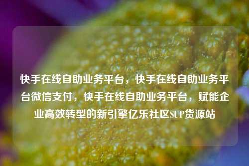快手在线自助业务平台，快手在线自助业务平台微信支付，快手在线自助业务平台，赋能企业高效转型的新引擎亿乐社区SUP货源站  第1张