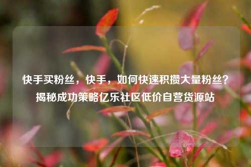 快手买粉丝	，快手，如何快速积攒大量粉丝？揭秘成功策略亿乐社区低价自营货源站  第1张