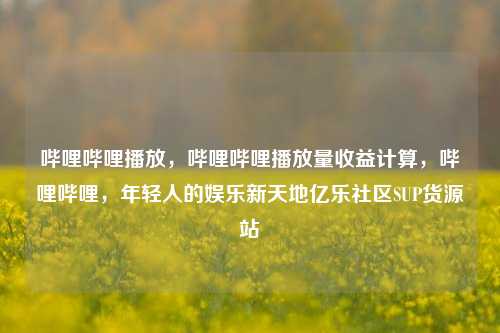 哔哩哔哩播放，哔哩哔哩播放量收益计算，哔哩哔哩，年轻人的娱乐新天地亿乐社区SUP货源站  第1张