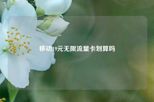 移动19元无限流量卡划算吗  第1张