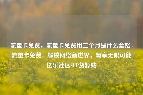 流量卡免费	，流量卡免费用三个月是什么套路，流量卡免费，解锁网络新世界	，畅享无限可能亿乐社区SUP货源站  第1张