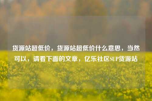货源站超低价，货源站超低价什么意思，当然可以	，请看下面的文章，亿乐社区SUP货源站  第1张
