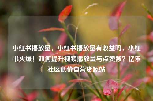 小红书播放量	，小红书播放量有收益吗，小红书火爆！如何提升视频播放量与点赞数？亿乐社区低价自营货源站  第1张