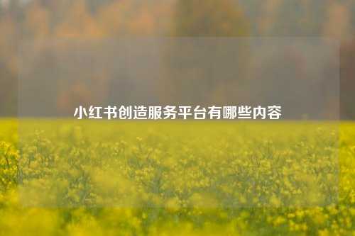 小红书创造服务平台有哪些内容  第1张
