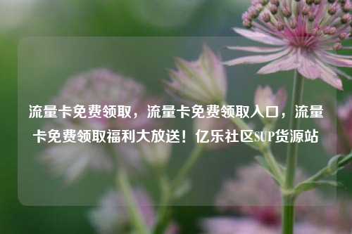 流量卡免费领取，流量卡免费领取入口，流量卡免费领取福利大放送！亿乐社区SUP货源站  第1张