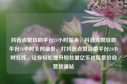 抖音点赞自助平台24小时服务，抖音点赞自助平台24小时全网最低，打抖音点赞自助平台24小时在线，让你轻松提升粉丝量亿乐社区低价自营货源站  第1张