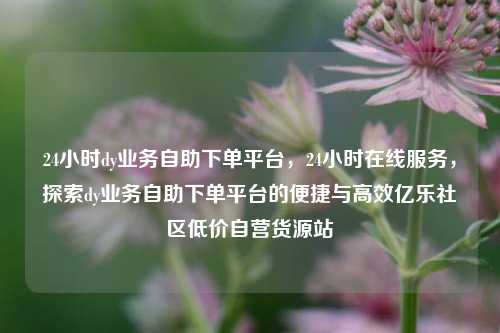 24小时dy业务自助下单平台，24小时在线服务，探索dy业务自助下单平台的便捷与高效亿乐社区低价自营货源站  第1张