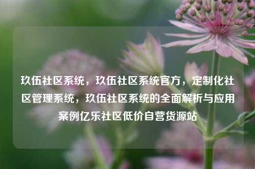 玖伍社区系统，玖伍社区系统官方，定制化社区管理系统，玖伍社区系统的全面解析与应用案例亿乐社区低价自营货源站  第1张