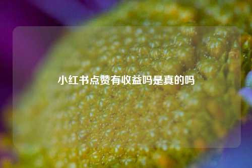小红书点赞有收益吗是真的吗  第1张