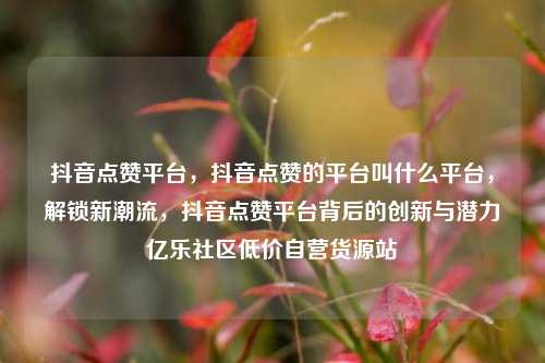 抖音点赞平台，抖音点赞的平台叫什么平台，解锁新潮流，抖音点赞平台背后的创新与潜力亿乐社区低价自营货源站  第1张