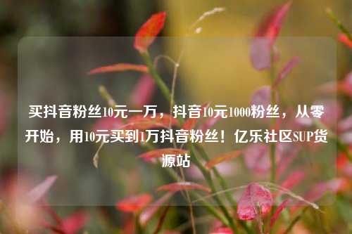买抖音粉丝10元一万	，抖音10元1000粉丝，从零开始，用10元买到1万抖音粉丝！亿乐社区SUP货源站  第1张