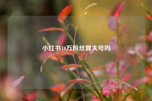 小红书10万粉丝算大号吗  第1张