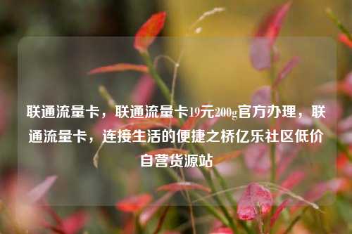 联通流量卡，联通流量卡19元200g官方办理，联通流量卡，连接生活的便捷之桥亿乐社区低价自营货源站  第1张