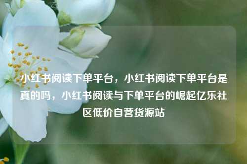 小红书阅读下单平台，小红书阅读下单平台是真的吗，小红书阅读与下单平台的崛起亿乐社区低价自营货源站  第1张