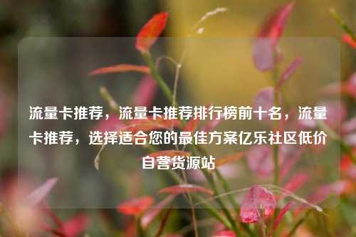 流量卡推荐	，流量卡推荐排行榜前十名，流量卡推荐，选择适合您的最佳方案亿乐社区低价自营货源站  第1张