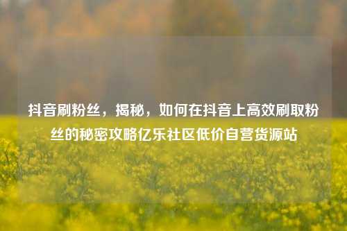 抖音刷粉丝，揭秘，如何在抖音上高效刷取粉丝的秘密攻略亿乐社区低价自营货源站  第1张