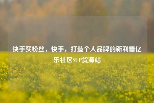 快手买粉丝，快手，打造个人品牌的新利器亿乐社区SUP货源站  第1张