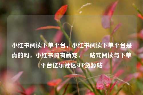 小红书阅读下单平台，小红书阅读下单平台是真的吗，小红书购物新宠，一站式阅读与下单平台亿乐社区SUP货源站  第1张