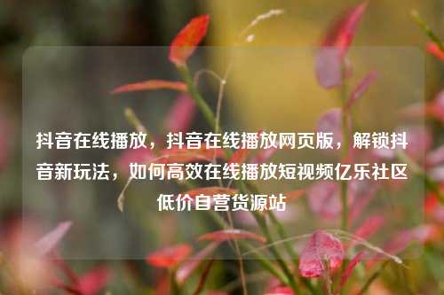 抖音在线播放，抖音在线播放网页版	，解锁抖音新玩法，如何高效在线播放短视频亿乐社区低价自营货源站  第1张