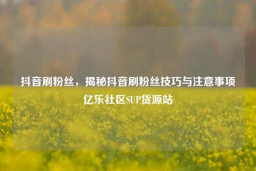 抖音刷粉丝，揭秘抖音刷粉丝技巧与注意事项亿乐社区SUP货源站  第1张