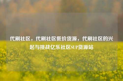 代刷社区	，代刷社区低价货源，代刷社区的兴起与挑战亿乐社区SUP货源站  第1张