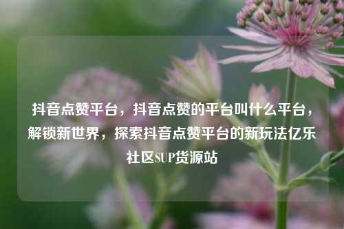 抖音点赞平台，抖音点赞的平台叫什么平台，解锁新世界	，探索抖音点赞平台的新玩法亿乐社区SUP货源站  第1张