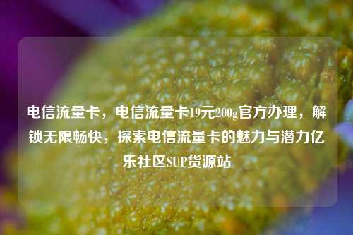 电信流量卡，电信流量卡19元200g官方办理，解锁无限畅快，探索电信流量卡的魅力与潜力亿乐社区SUP货源站  第1张