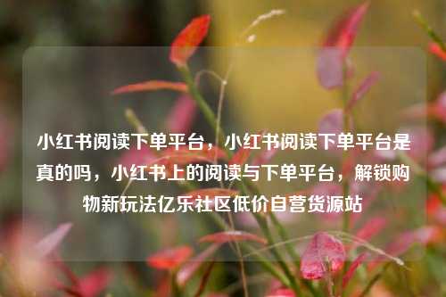 小红书阅读下单平台，小红书阅读下单平台是真的吗，小红书上的阅读与下单平台，解锁购物新玩法亿乐社区低价自营货源站  第1张