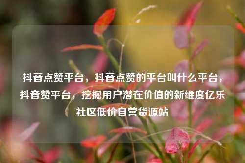 抖音点赞平台，抖音点赞的平台叫什么平台，抖音赞平台	，挖掘用户潜在价值的新维度亿乐社区低价自营货源站  第1张