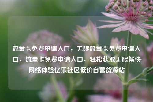 流量卡免费申请入口，无限流量卡免费申请入口，流量卡免费申请入口	，轻松获取无限畅快网络体验亿乐社区低价自营货源站  第1张