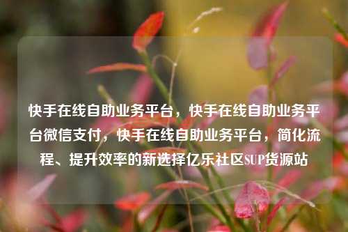 快手在线自助业务平台，快手在线自助业务平台微信支付，快手在线自助业务平台，简化流程、提升效率的新选择亿乐社区SUP货源站  第1张